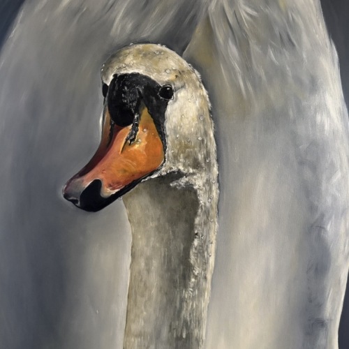 Jill Wellman Swan