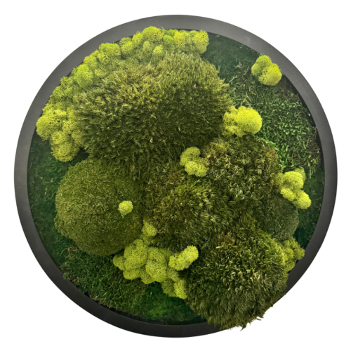 Joanna Solid_Living Geometry_Chairish 2026