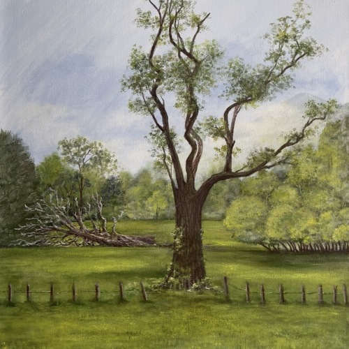 Melody Lafferty - Killarney Urban Ireland