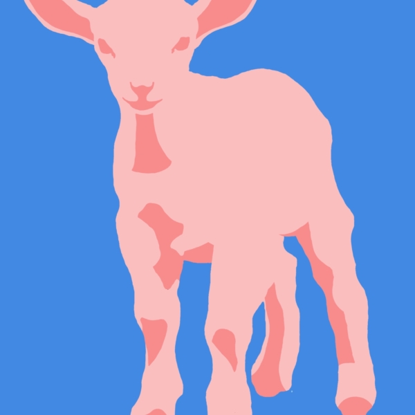 Darien Goodman_Pink Goat_Chairish 2024